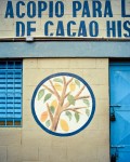 Cocoa cooperative