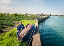 Castraure farmer at Sant' Erasmo