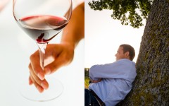 Sagrantino vine - Marco Caprai