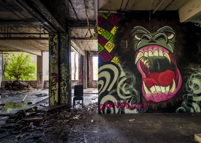 Inside Packhard plant ruins