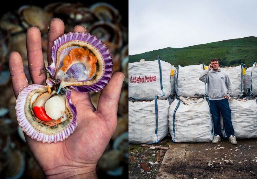 Open Queenie - Seafood retailer