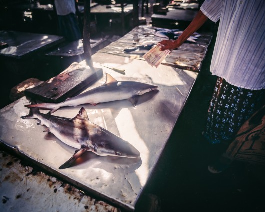 Pink Lady Food Photography Award